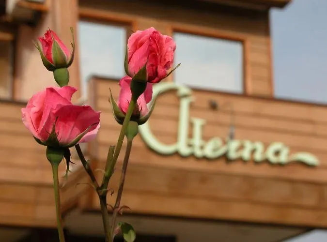 Aterna 2* Δεκελί